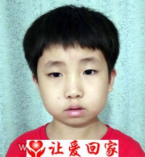 焦芮然