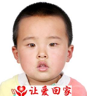 陈定启