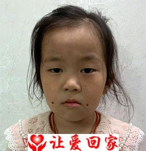 王莺燕