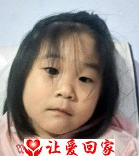 耿立欣