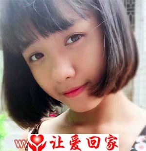 王少露