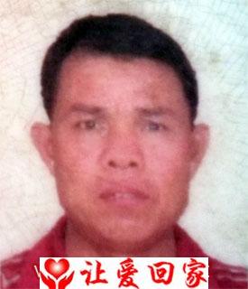 杨日红