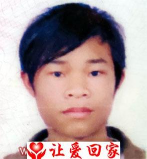 黄红松