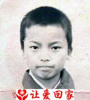 杨金峰