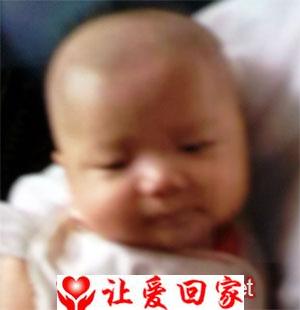任奚葆