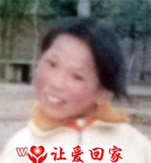 王燕怀