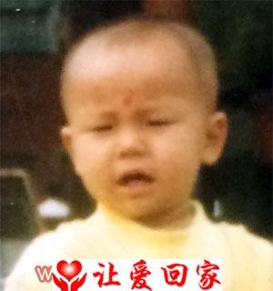 向平，向丽