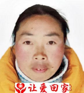 郑桂芹
