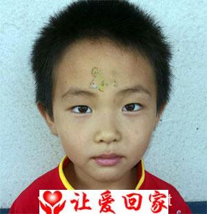 王子强