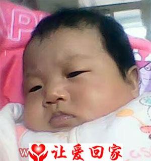 王嘉琳