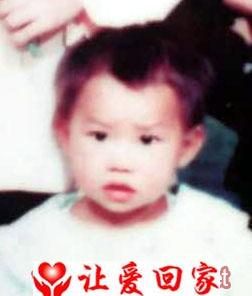 杨凤