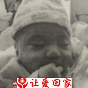 高凯