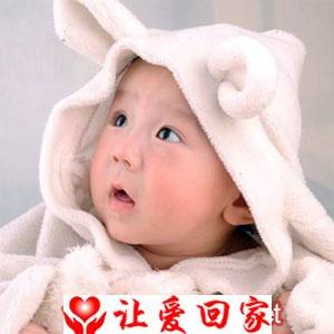 宋文燕