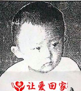 张安安