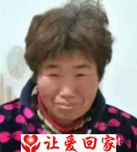 刘淑英