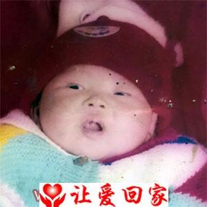 未取名