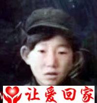 张新成