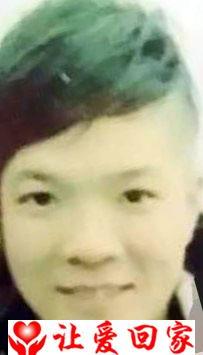 田龙飞