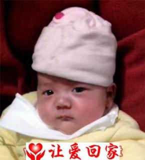 辛春城