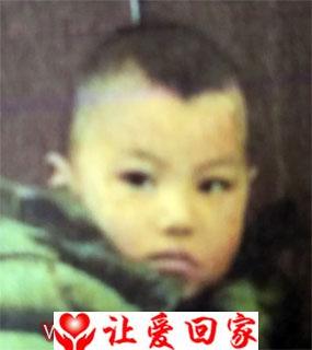刘家池