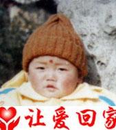 刘毛毛