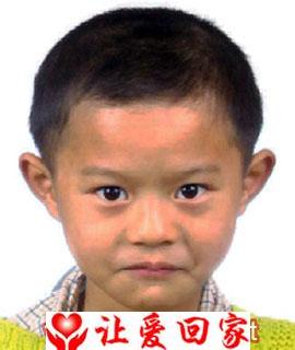 刘磊