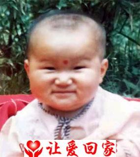 董新