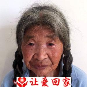 陈板珍