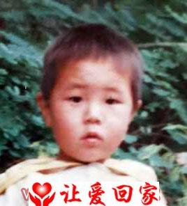 刘洋