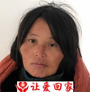 陈范根