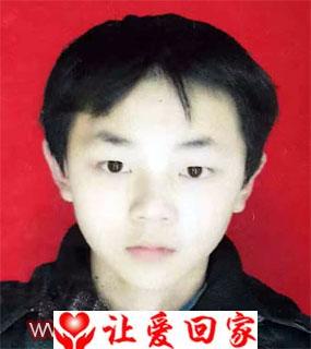 罗茂华