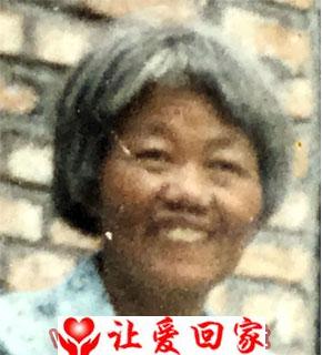 任金侠