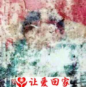 寻找被王姓家人收养的男孩