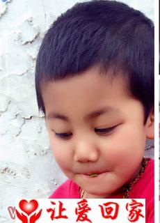 泽仁扎西）（阳阳）