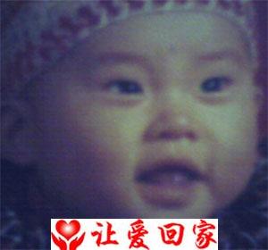 张七