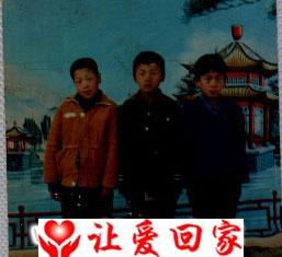 杨青林