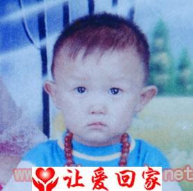 和陆航