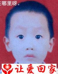 杨伟鑫
