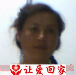 寻找姨妈