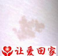 鄧惠美