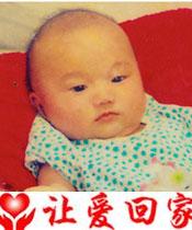 寻找我的乖女儿莉莉