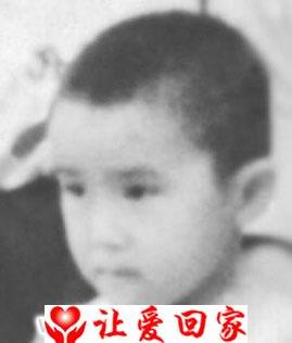 田小龙