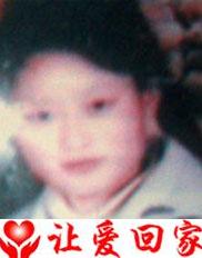 胡美红