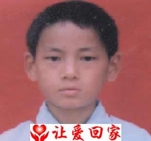 舒奇