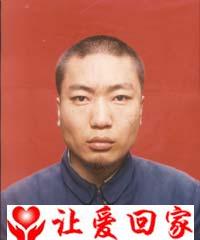白金钢