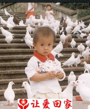 袁凯
